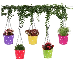 Leafy Tales Metal Chain Hanging Planter – Set of 5 (Rust Free – Red, Green, Yellow, Pink, Purple) – with Chains