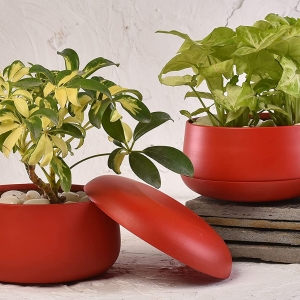 (Set of 2) Elemntl Metal Planter Pot for Indoor Plants & Flowers | 5.5 x 3 in | Table Top Planter for Living Room, Home Decor, Terrace, Balcony & Home Gardening (Matte Red with Drain Plate)